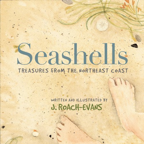 Joanne Roach-Evans/Seashells@Treasures From The Northeast Coast